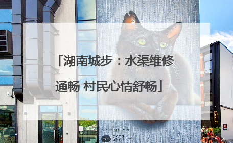 湖南城步：水渠维修通畅 村民心情舒畅