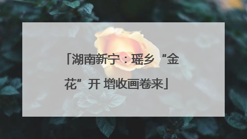 湖南新宁：瑶乡“金花”开 增收画卷来