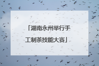 湖南永州举行手工制茶技能大赛