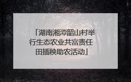 湖南湘潭韶山村举行生态农业共富责任田插秧助农活动