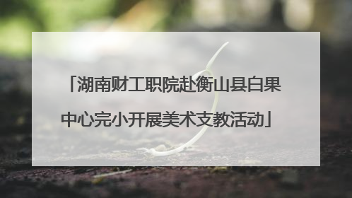 湖南财工职院赴衡山县白果中心完小开展美术支教活动