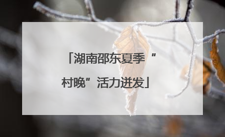 湖南邵东夏季“村晚”活力迸发