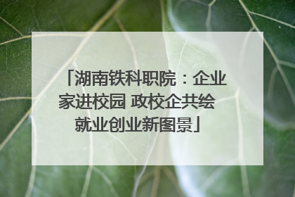 湖南铁科职院：企业家进校园 政校企共绘就业创业新图景