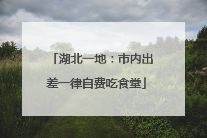 湖北一地：市内出差一律自费吃食堂