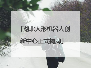湖北人形机器人创新中心正式揭牌