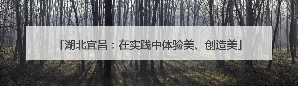 湖北宜昌：在实践中体验美、创造美