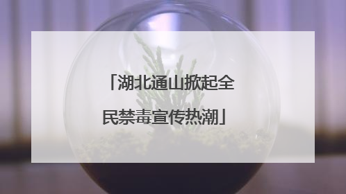 湖北通山掀起全民禁毒宣传热潮
