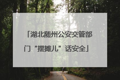 湖北随州公安交管部门“摆摊儿”话安全