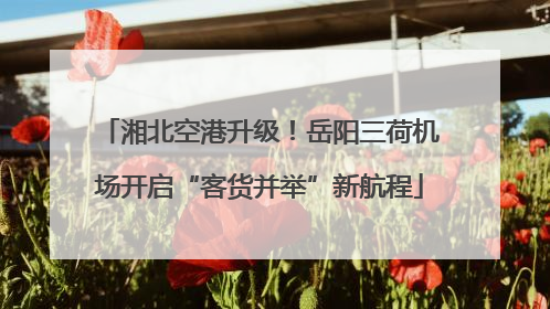 湘北空港升级！岳阳三荷机场开启“客货并举”新航程