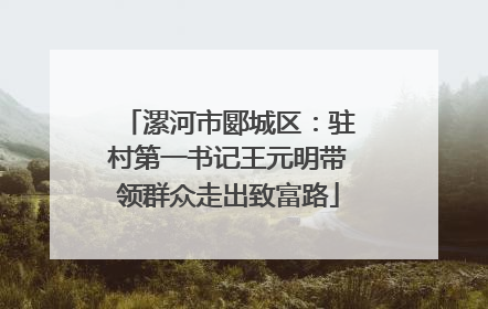 漯河市郾城区：驻村第一书记王元明带领群众走出致富路