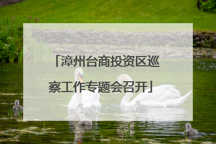 漳州台商投资区巡察工作专题会召开