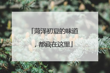 菏泽初夏的味道，都藏在这里