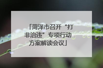 菏泽市召开“打非治违”专项行动方案解读会议