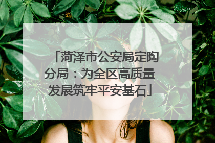 菏泽市公安局定陶分局：为全区高质量发展筑牢平安基石