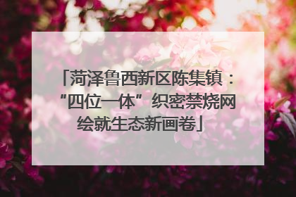 菏泽鲁西新区陈集镇：“四位一体”织密禁烧网 绘就生态新画卷