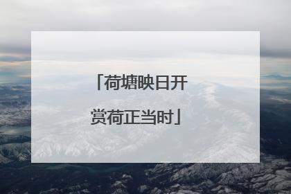 荷塘映日开 赏荷正当时