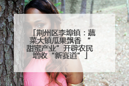 荆州区李埠镇：蔬菜大镇瓜果飘香 “甜蜜产业”开辟农民增收“新赛道”