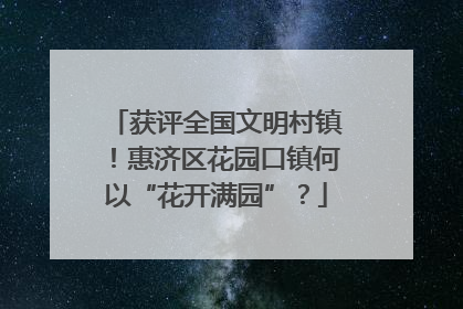 获评全国文明村镇！惠济区花园口镇何以“花开满园”？