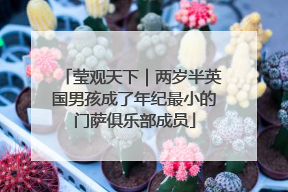 莹观天下｜两岁半英国男孩成了年纪最小的门萨俱乐部成员