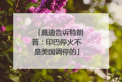 莫迪告诉特朗普：印巴停火不是美国调停的
