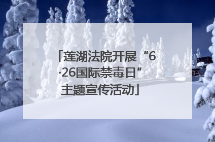 莲湖法院开展“6·26国际禁毒日”主题宣传活动
