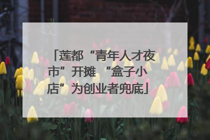 莲都“青年人才夜市”开摊 “盒子小店”为创业者兜底