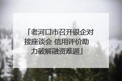老河口市召开银企对接座谈会 信用评价助力破解融资难题