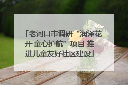 老河口市调研“润泽花开·童心护航”项目 推进儿童友好社区建设