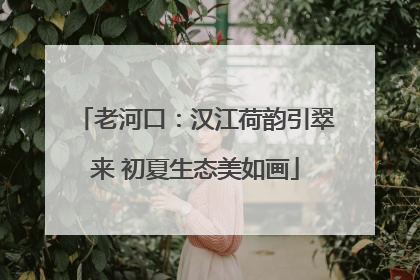 老河口：汉江荷韵引翠来 初夏生态美如画