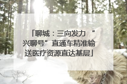 聊城：三向发力 “兴聊号”直通车精准输送医疗资源直达基层