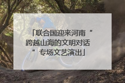 联合国迎来河南“跨越山海的文明对话”专场文艺演出