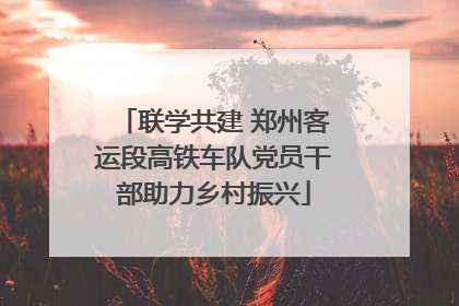 联学共建 郑州客运段高铁车队党员干部助力乡村振兴