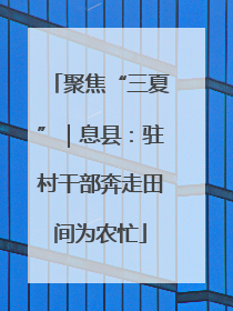 聚焦“三夏”｜息县：驻村干部奔走田间为农忙