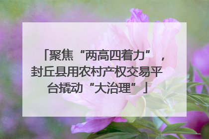聚焦“两高四着力”，封丘县用农村产权交易平台撬动“大治理”