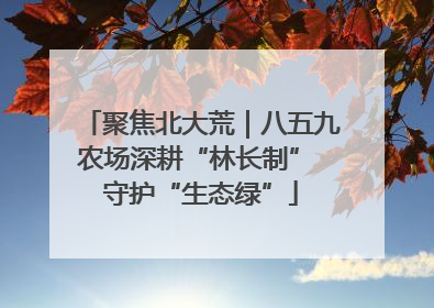聚焦北大荒｜八五九农场深耕“林长制” 守护“生态绿”