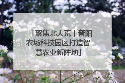 聚焦北大荒｜普阳农场科技园区打造智慧农业新阵地