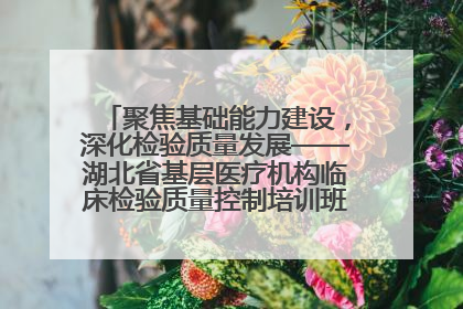 聚焦基础能力建设，深化检验质量发展——湖北省基层医疗机构临床检验质量控制培训班（孝感站）成功举办