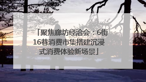 聚焦廊坊经洽会：6街16巷消费市集搭建沉浸式消费体验新场景