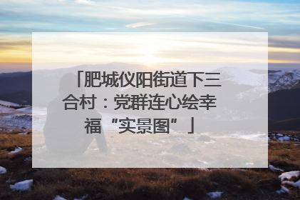 肥城仪阳街道下三合村：党群连心绘幸福“实景图”