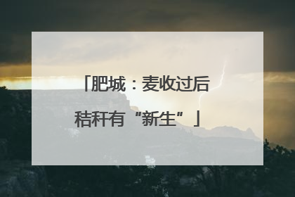 肥城：麦收过后秸秆有“新生”