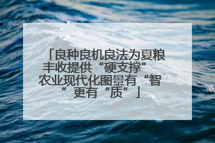 良种良机良法为夏粮丰收提供“硬支撑” 农业现代化图景有“智”更有“质”