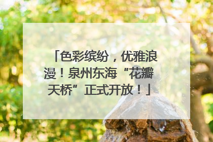 色彩缤纷，优雅浪漫！泉州东海“花瓣天桥”正式开放！