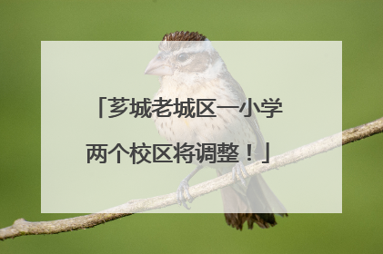 芗城老城区一小学两个校区将调整！