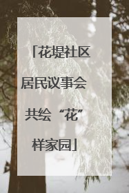 花堤社区居民议事会共绘“花”样家园