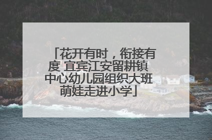 花开有时，衔接有度 宜宾江安留耕镇中心幼儿园组织大班萌娃走进小学