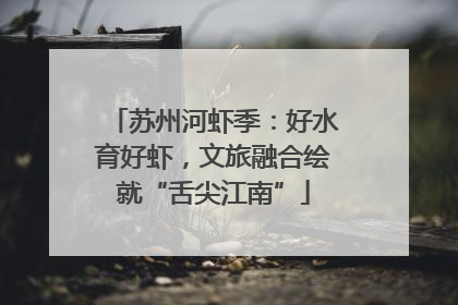 苏州河虾季：好水育好虾，文旅融合绘就“舌尖江南”