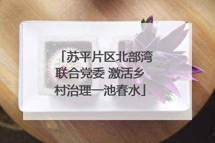 苏平片区北部湾联合党委 激活乡村治理一池春水