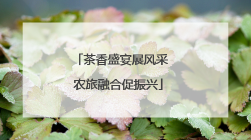 茶香盛宴展风采 农旅融合促振兴