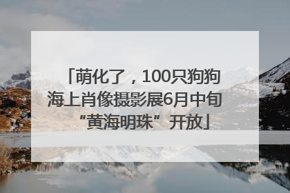 萌化了，100只狗狗海上肖像摄影展6月中旬“黄海明珠”开放
