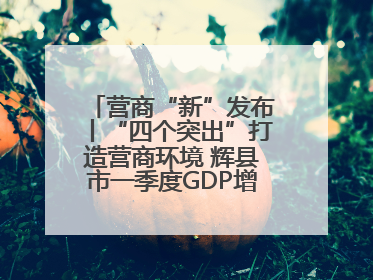 营商“新”发布丨“四个突出”打造营商环境 辉县市一季度GDP增长6.9% 36个重点项目落地